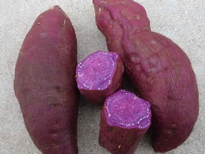 紫红苕（紫薯）